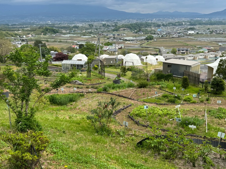 薬草園